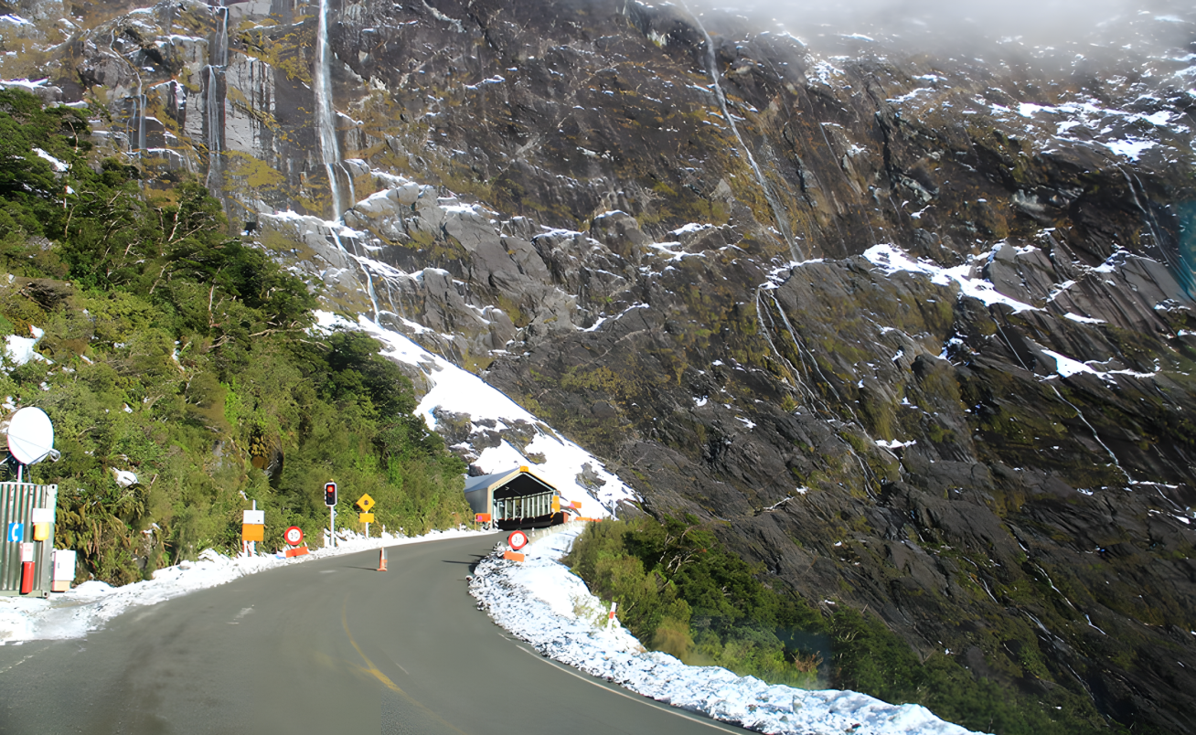 Milford Sound day tour