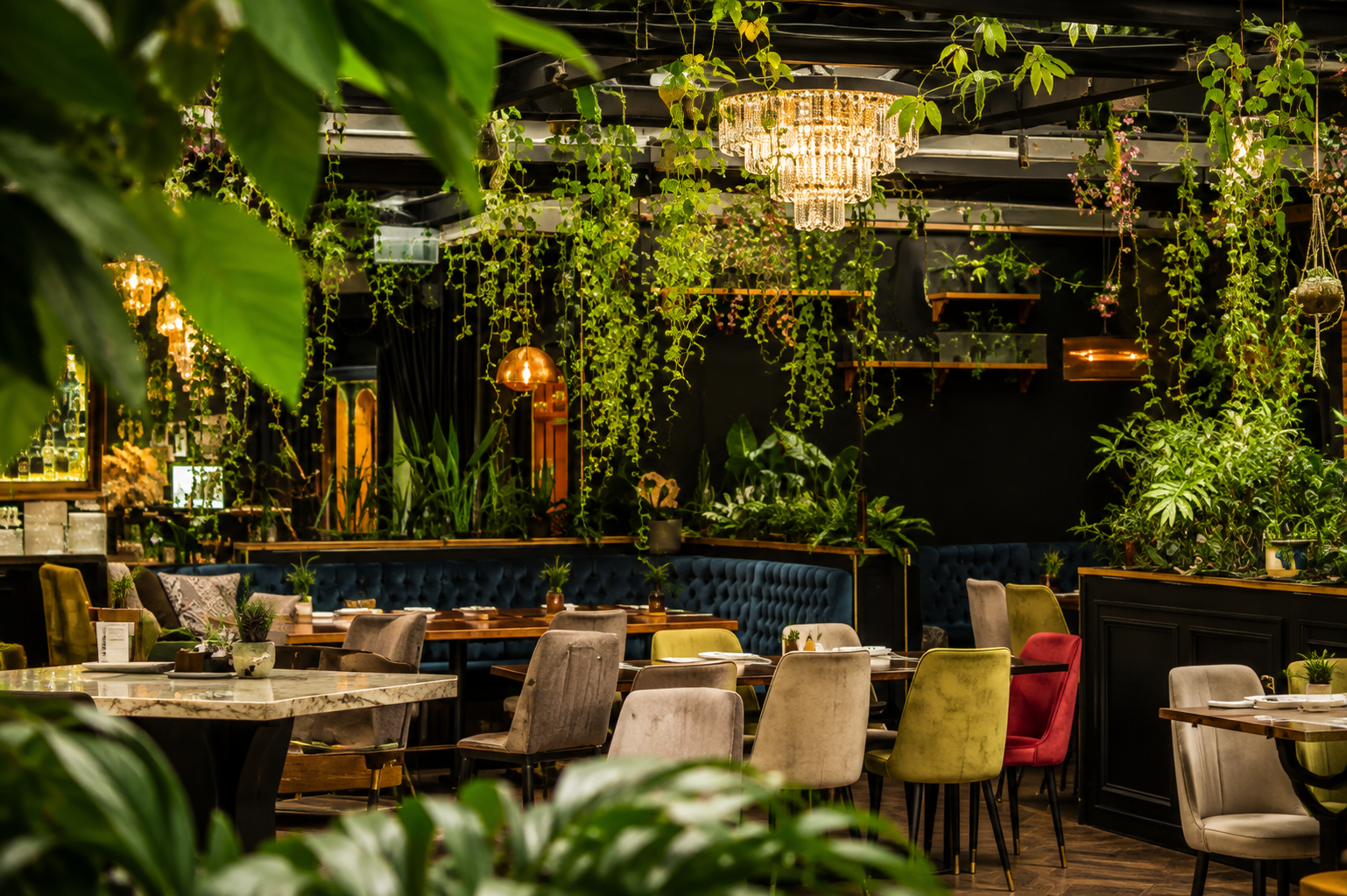 5th Street restaurant