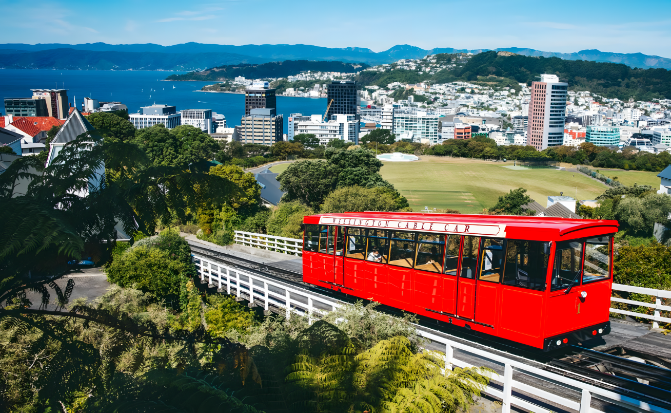 New Zealand 10-Day South-to-North Tour
