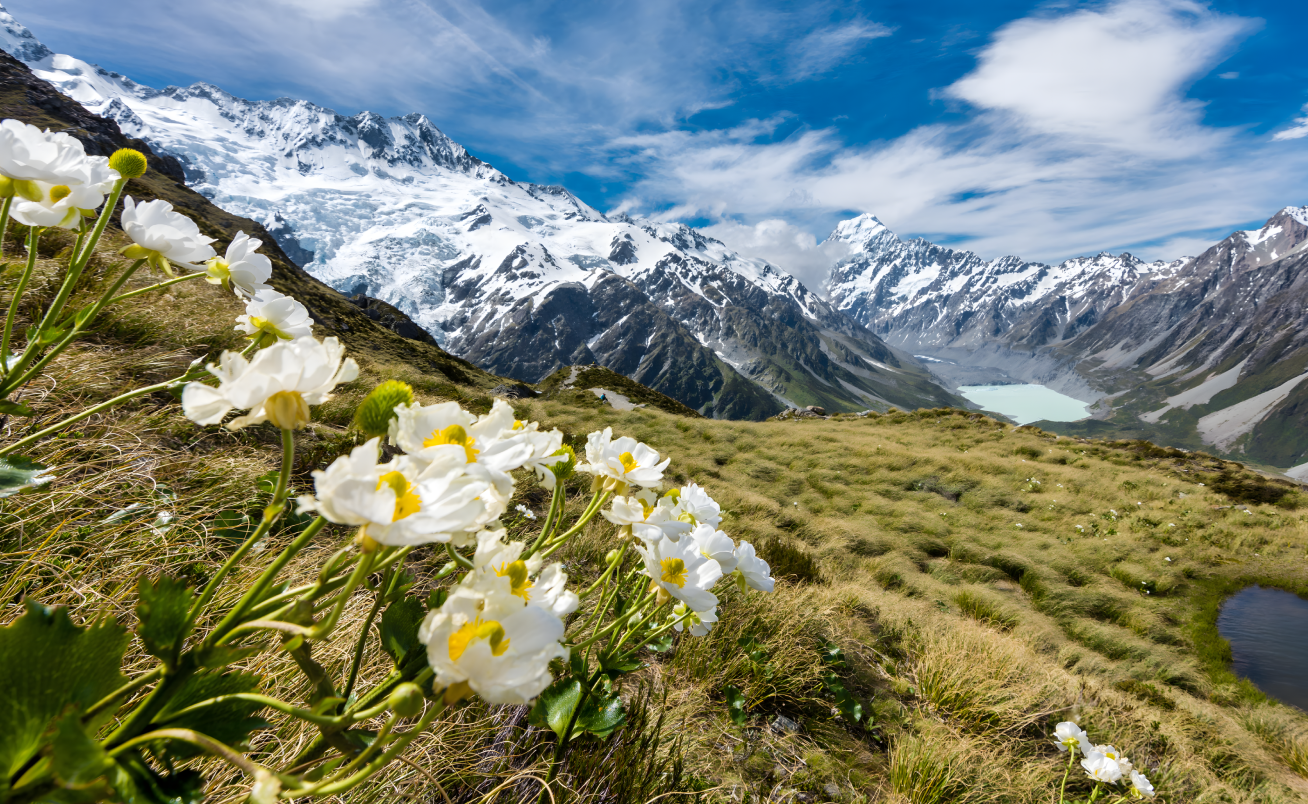 Scenic landscape photo 3
