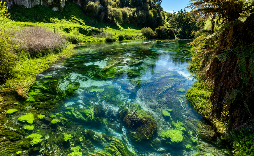 Coast, Caves & Geothermal Wonders Circuit