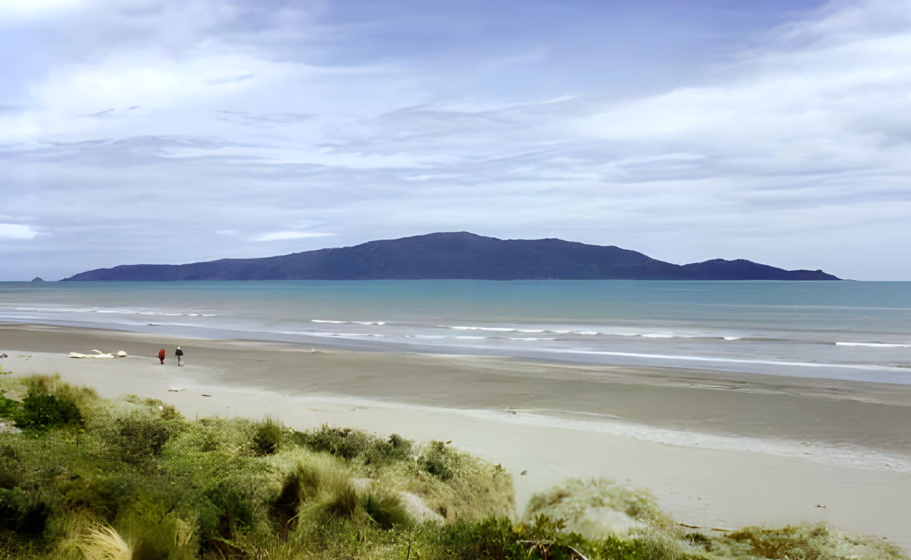 Kapiti Coast Scenic, Cultural & Foodie Tour