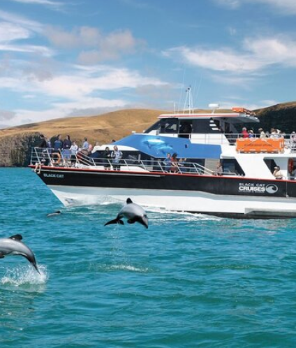 Akaroa Day Tour from Christchurch
