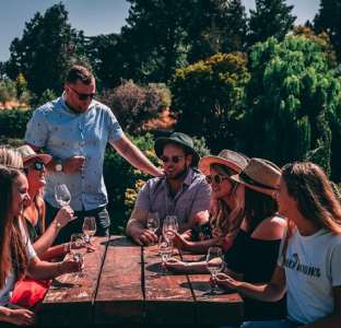 Waipara Valley Wine Tour from Christchurch