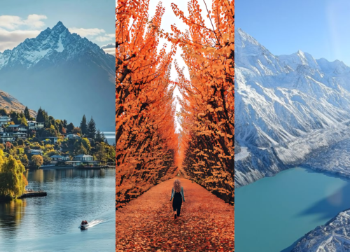 Best Times to Visit the South Island