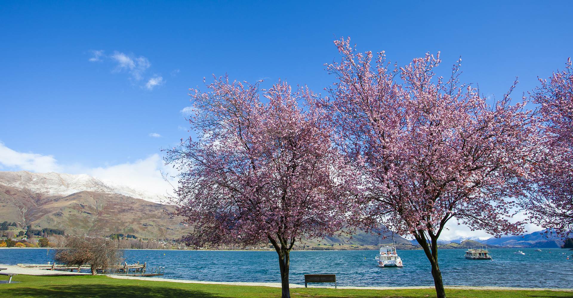 Wanaka